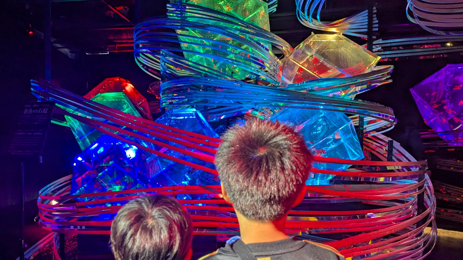 Kids looking at a multicolored crystal-style goldfish exhibit at Art Aquarium Museum Ginza.