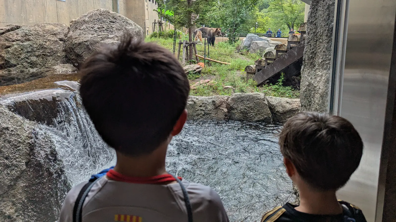 Two children view a brown bear in its outdoor enclosure at Asahiyama Zoo, surrounded by rocks and greenery. A memorable family travel moment in Hokkaido.