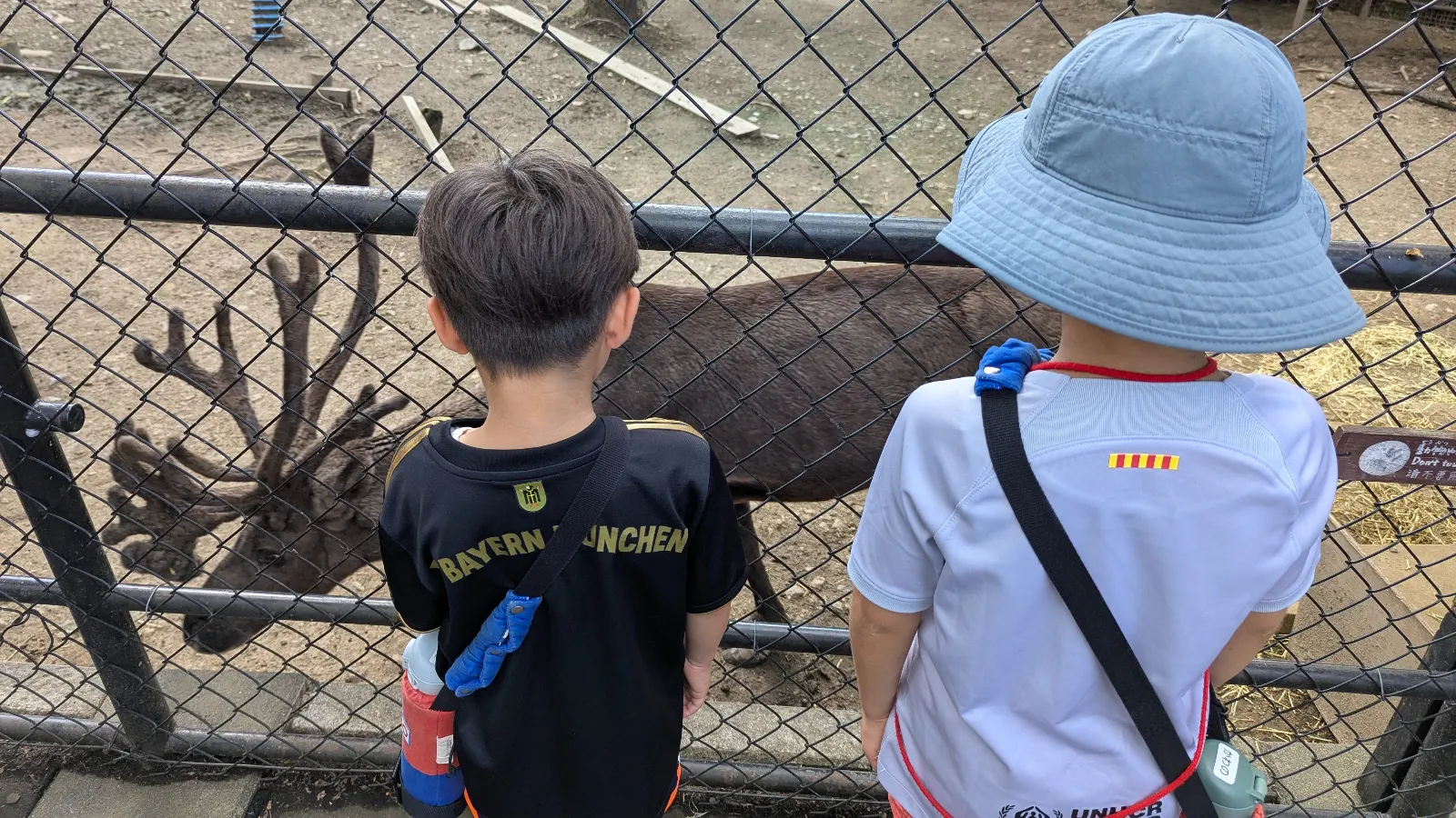 Two kids look at a reindeer at Asahiyama Zoo in Asahikawa, Hokkaido. A fun outdoor animal encounter for families exploring Japan with kids.