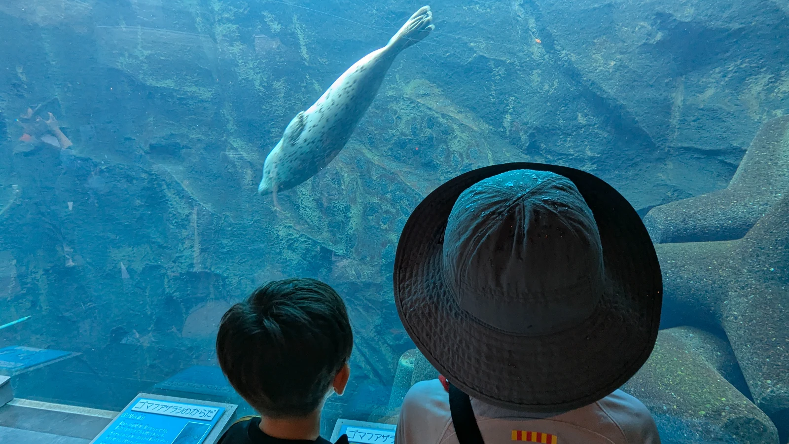 Two children watch a seal swim overhead inside the glass tunnel at Asahiyama Zoo’s famous seal aquarium. A top family highlight in Asahikawa, Hokkaido.