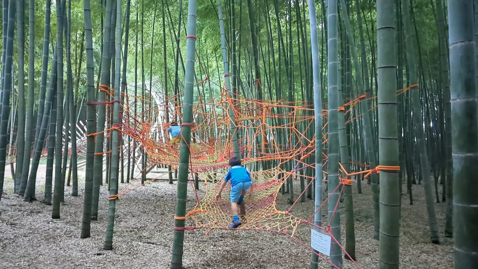 Kids climbing on colorful rope nets tied between bamboo trees at Four Seasons Bamboo Forest Wakayama Farm in Tochigi, Japan, a fun nature playground near Tokyo.