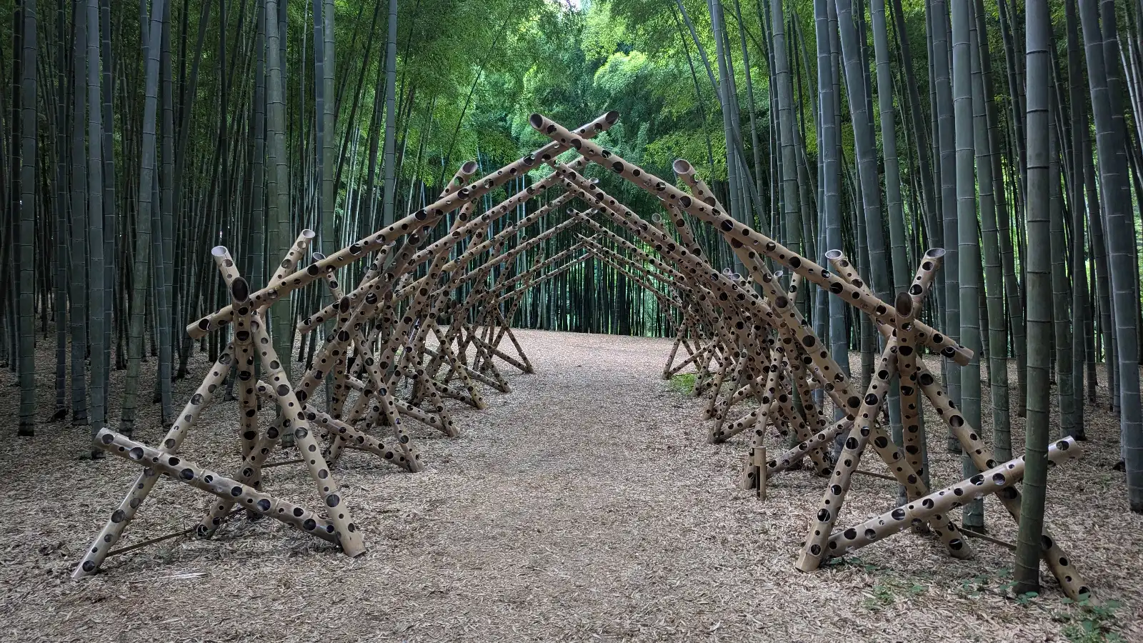 Bamboo tunnel installation at Four Seasons Bamboo Forest Wakayama Farm in Tochigi, Japan, surrounded by tall green stalks.