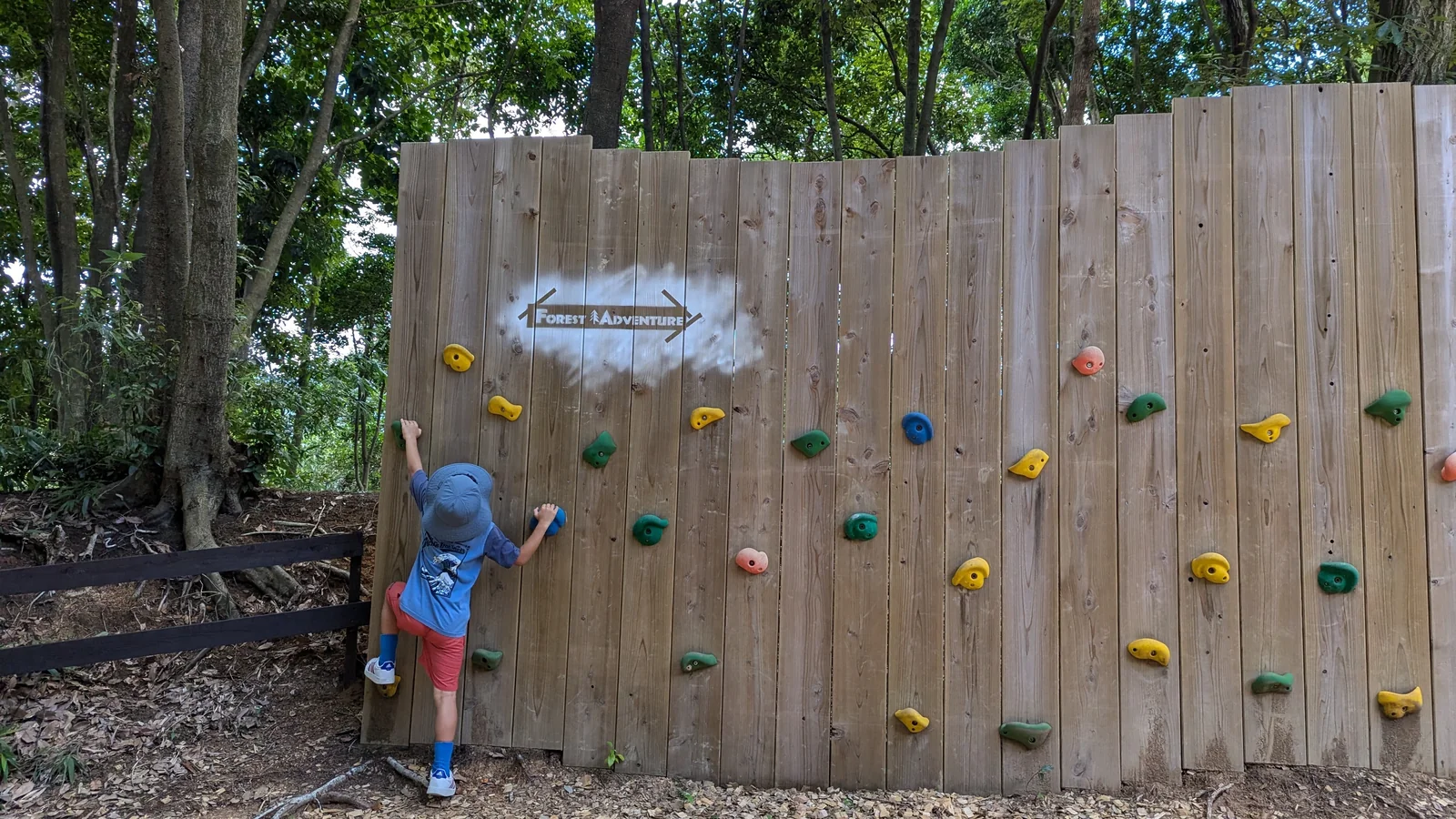 A child climbing the wall at Forest Adventure in Fukuoka, Japan.