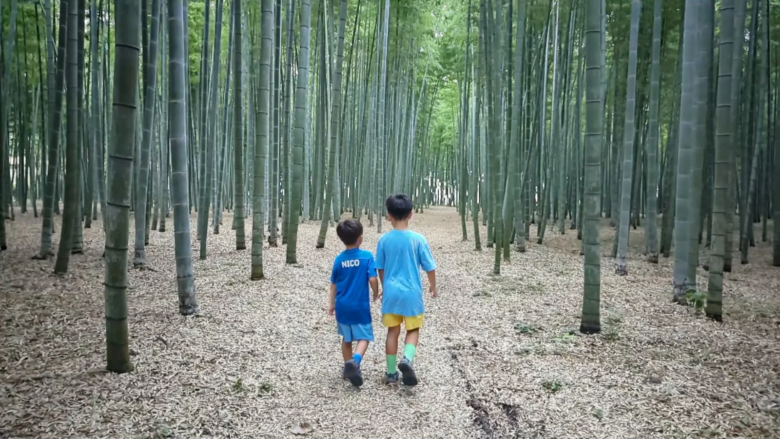Two young brothers walking hand in hand through the bamboo forest at Four Seasons Bamboo Forest Wakayama Farm in Tochigi, Japan, during a family day trip near Tokyo.