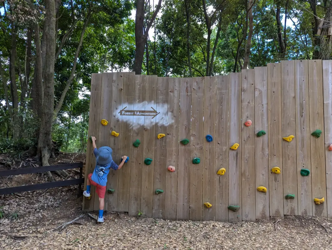 Luca enjoying a climbing wall at an outdoor adventure park in Fukuoka. Discover the best outdoor activities for families in our Fukuoka family travel guide.