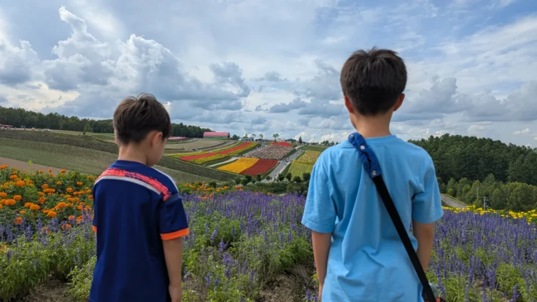 Children looking over colorful flower fields in Biei and Furano, Hokkaido, a popular family nature attraction in Japan.