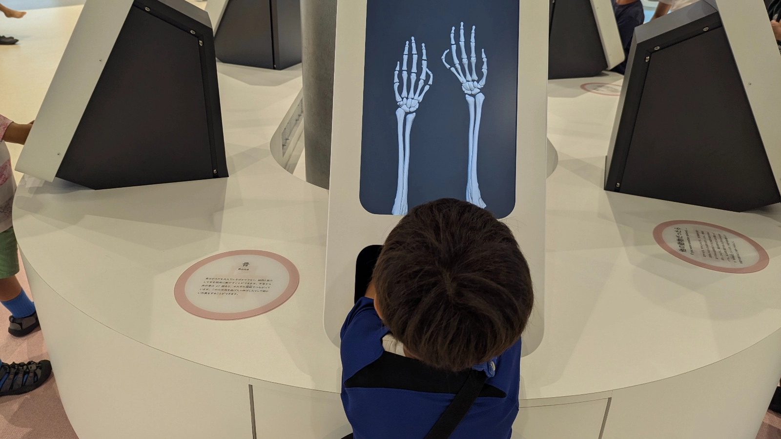 A child studies the bone structure display at the Hokushu Sendai City Science Museum, using an interactive x-ray screen that shows hand and arm bones.