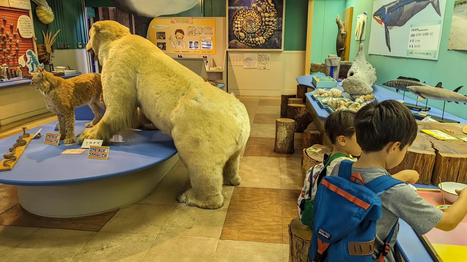 Luca and Nico at a science exhibit in the Kagoshima Prefectural Museum in Kagoshima, Japan.