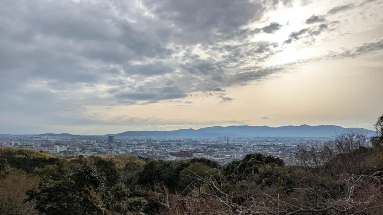 View over Kyoto from the Fushimi Inari summit at sunset, framed by early cherry blossoms, capturing a quiet moment of reflection during a family adventure with kids in Kyoto.