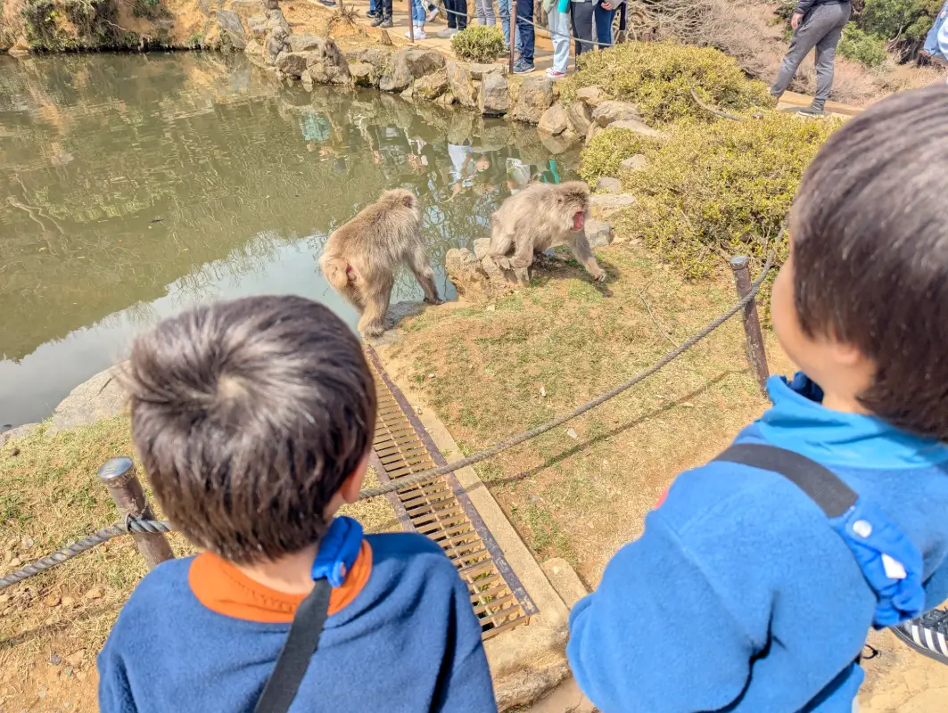Luca & Nico observing monkeys near the pond at Monkey Park Iwatayama in Kyoto, one of the top nature-filled attractions for families exploring Kyoto with kids.