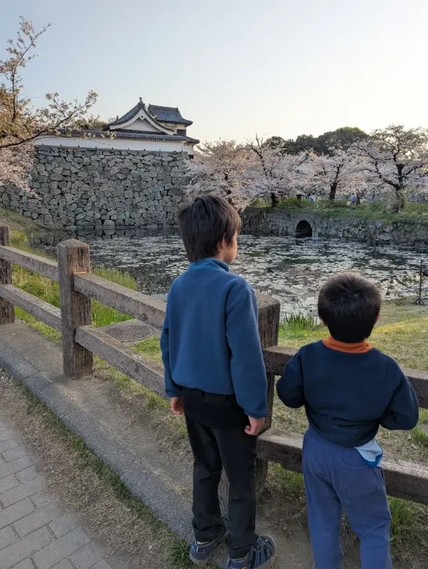 Luca and Nico admire cherry blossoms beside a traditional Japanese castle moat during spring, experiencing the beauty of hanami season as part of a family adventure in Japan.