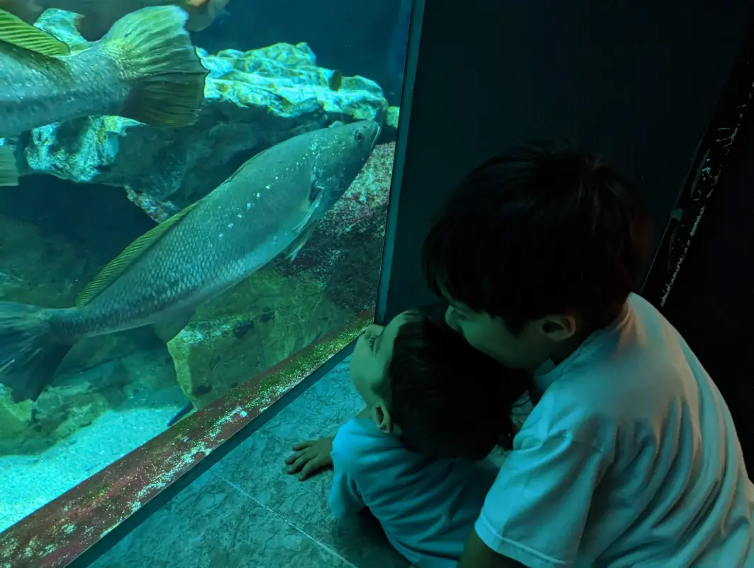 Luca & Nico watching fish swim at Marine World Aquarium during a family adventure featured in a Fukuoka itinerary with kids.
