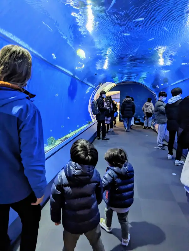 Luca & Nico walking through the underwater tunnel at Osaka Aquarium Kaiyukan during their Osaka itinerary with kids adventure