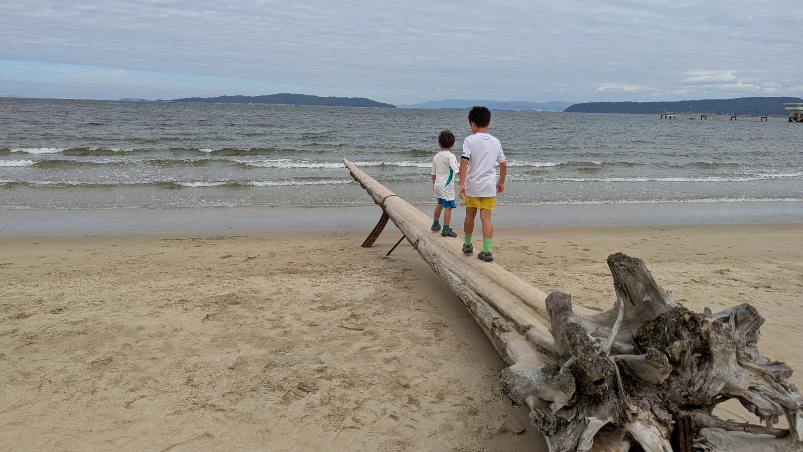 Two young brothers stand on a large piece of driftwood facing the sea in Japan, with gentle waves and distant hills under a cloudy sky.