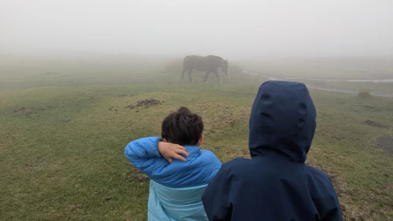 Two children standing in a foggy meadow watching a wild horse in the distance during a family travel experience.