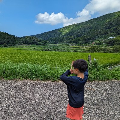 A young child wearing a blue long-sleeve shirt and red shorts frames a scenic view with his hands while standing on a countryside road in Japan. Lush green rice fields stretch towards the forested mountains under a bright blue sky with scattered clouds.