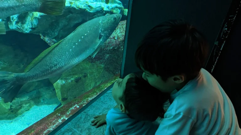 Luca & Nico watching a large fish through the glass at Marine World Uminonakamichi aquarium in Fukuoka, Japan