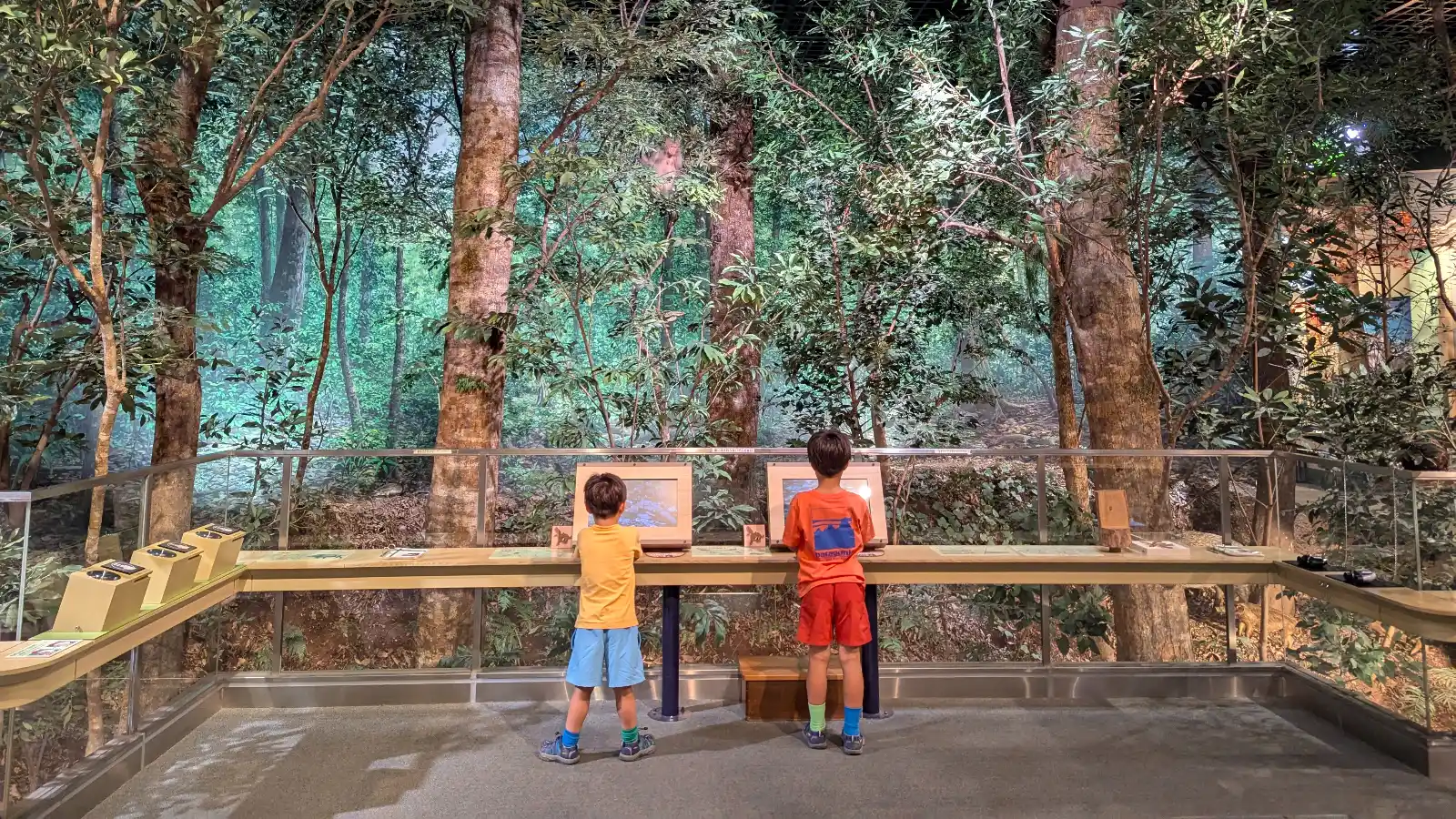 Luca & Nico exploring a nature exhibit inside the Miyazaki Prefectural Museum of Nature and History, surrounded by forest dioramas