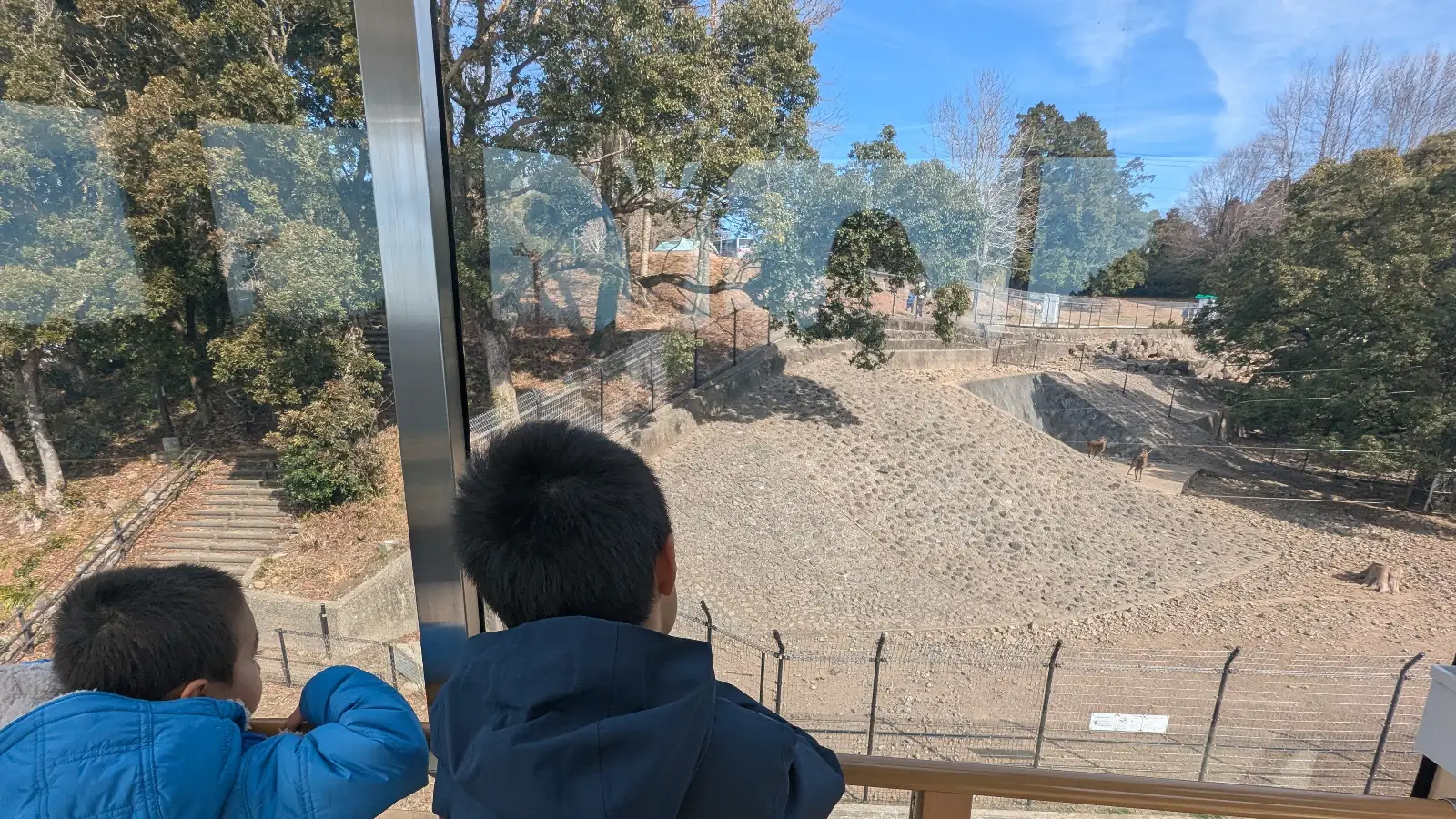 Luca & Nico looking out from an observatory window, similar to the family-friendly views from Mount Inasa Ropeway in Nagasaki.
