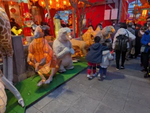 Luca & Nico exploring glowing zodiac animal lanterns during the Nagasaki Lantern Festival, engaging in a family-friendly scavenger hunt to learn about the Chinese Zodiac legends.