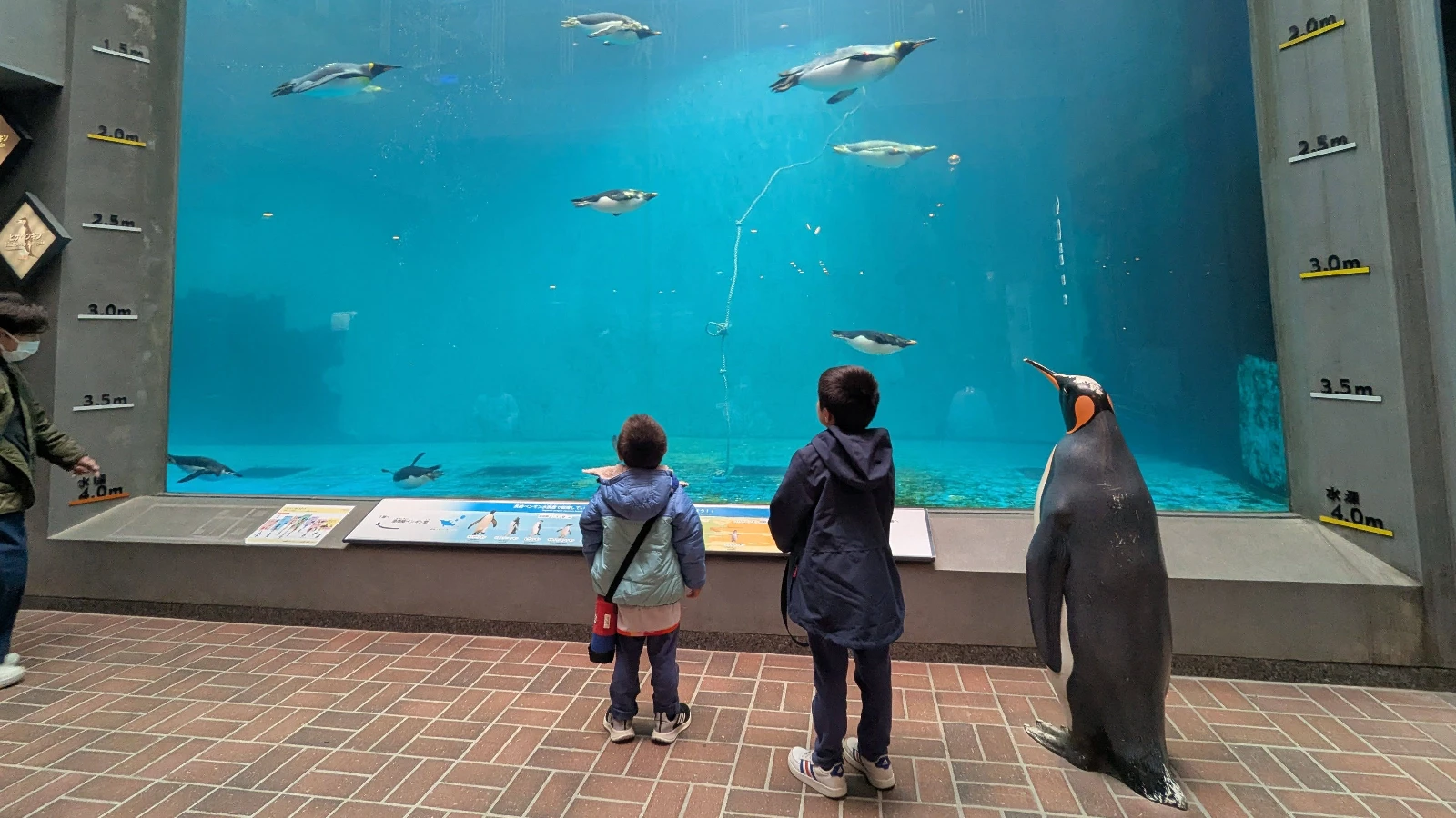 Penguins waddling and swimming near the open-sea shoreline at Nagasaki Penguin Aquarium’s outdoor beach enclosure.