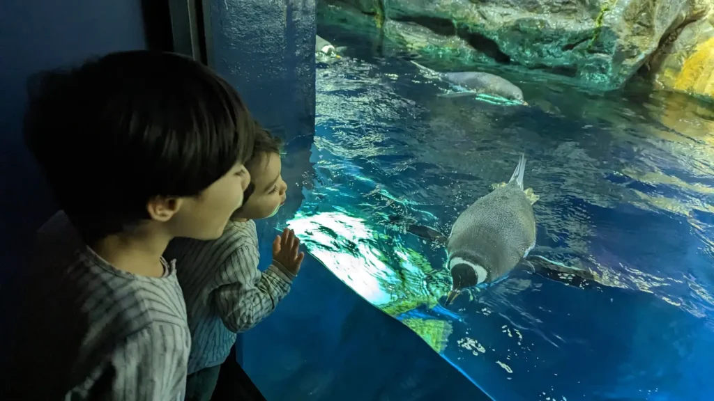 Luca & Nico watching a penguin swim at Osaka Aquarium Kaiyukan, one of the top indoor family activities in Osaka with kids.