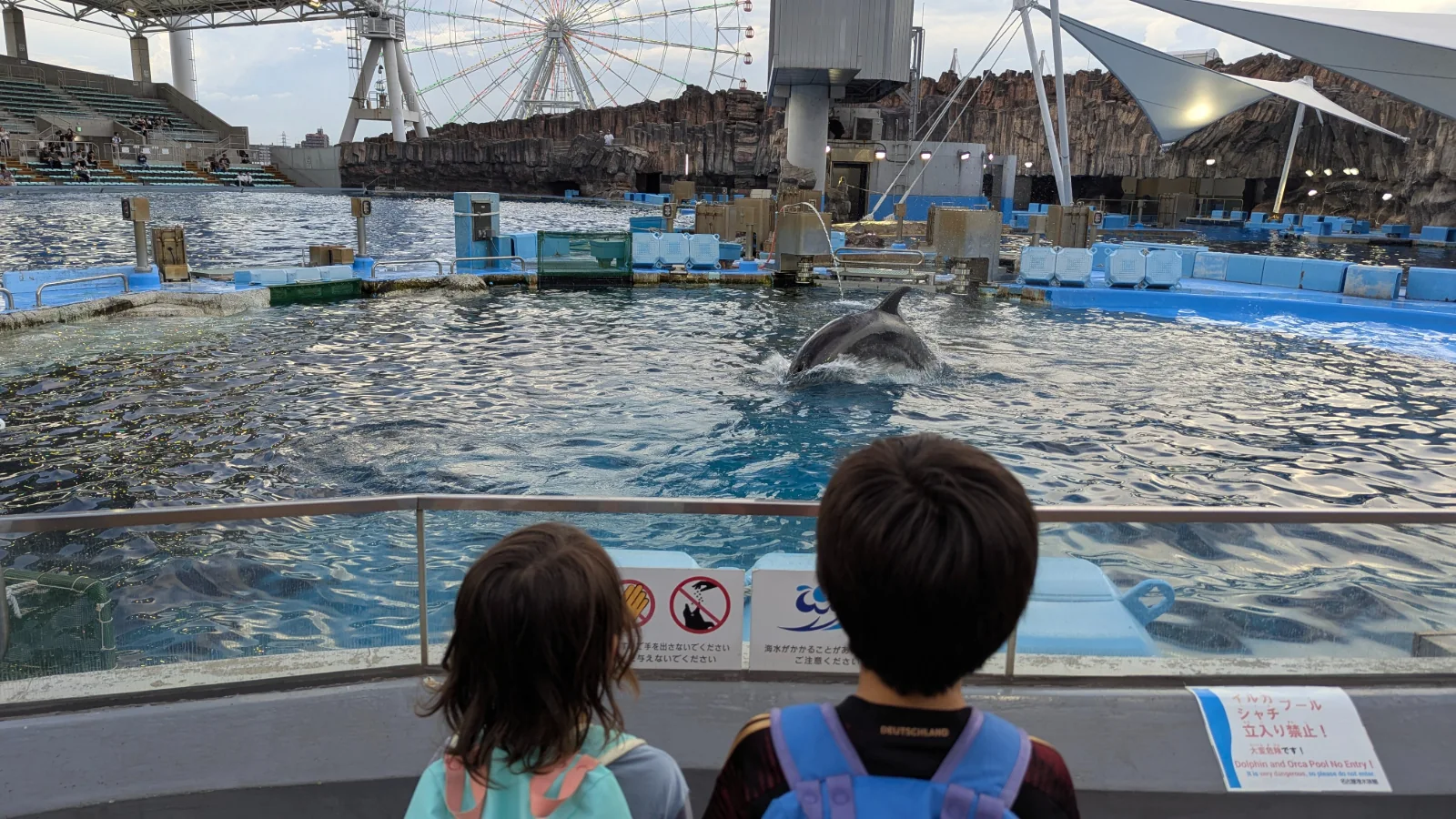 Luca and Nico watch a dolphin surface from the pool rail at the Port of Nagoya Public Aquarium in Nagoya.