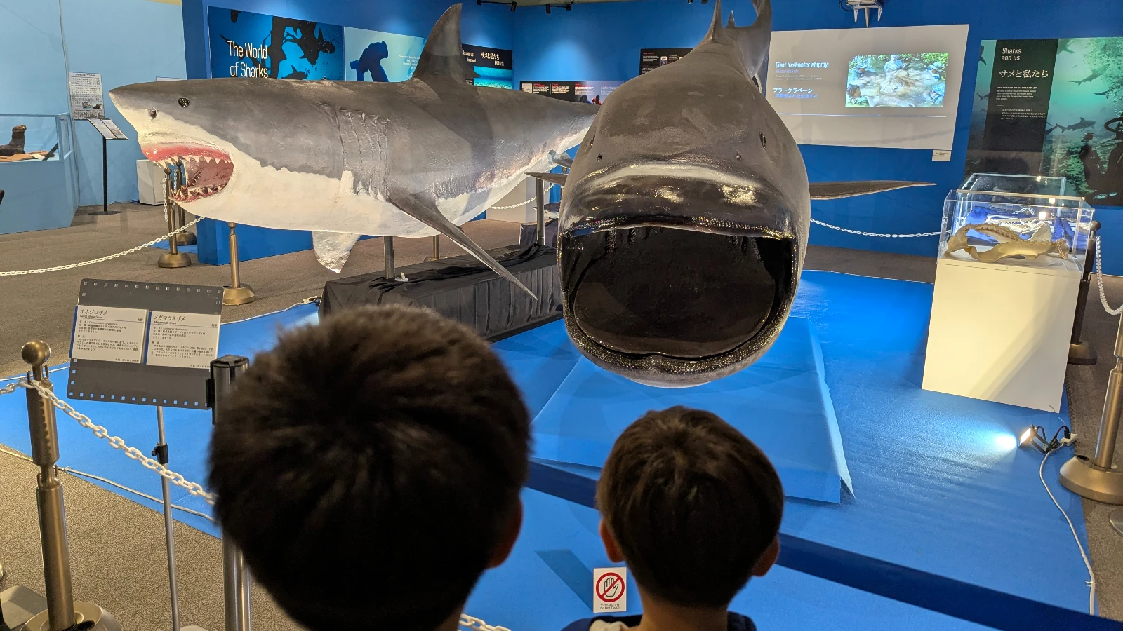 Kids exploring the shark exhibit at Hokushu Sendai City Science Museum, a hands-on family attraction in Sendai, Japan.