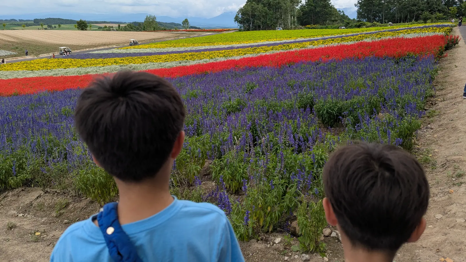 Two children looking over the rainbow-colored flower fields at Panoramic Flower Gardens Shikisai-no-oka in Biei, Hokkaido, with rows of red, purple, and yellow blooms stretching across the hills.