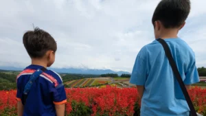 Kids look over colorful flower fields at Shikisai-no-oka near Asahikawa, a scenic day trip for families visiting Hokkaido.