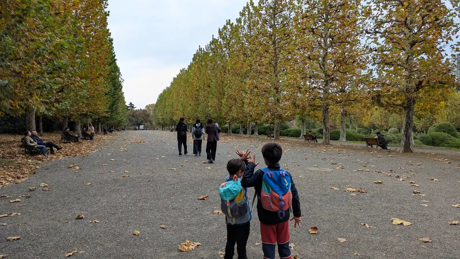 Kids walking along the autumn tree-lined avenue at Shinjuku Gyoen National Garden, surrounded by golden leaves on a wide open path.