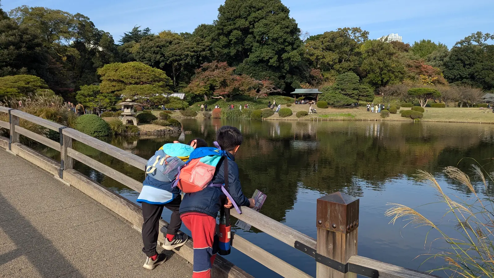 Kids leaning on a wooden bridge at Shinjuku Gyoen National Garden, watching the pond and autumn scenery.
