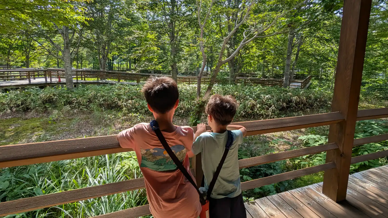 Two children stand on a wooden boardwalk surrounded by lush green forest inside Shirakami-Sanchi, a UNESCO World Heritage Site in Aomori, Japan, perfect for family nature walks.