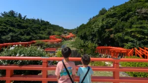 Two boys stand on a red bridge overlooking hundreds of bright torii gates winding through the forest at Takayama Inari Shrine, one of Aomori’s most scenic places to visit with kids.