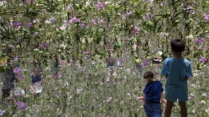 Luca & Nico stand among thousands of suspended orchids in the Floating Flower Garden at teamLab Planets Tokyo, a magical family-friendly exhibit.