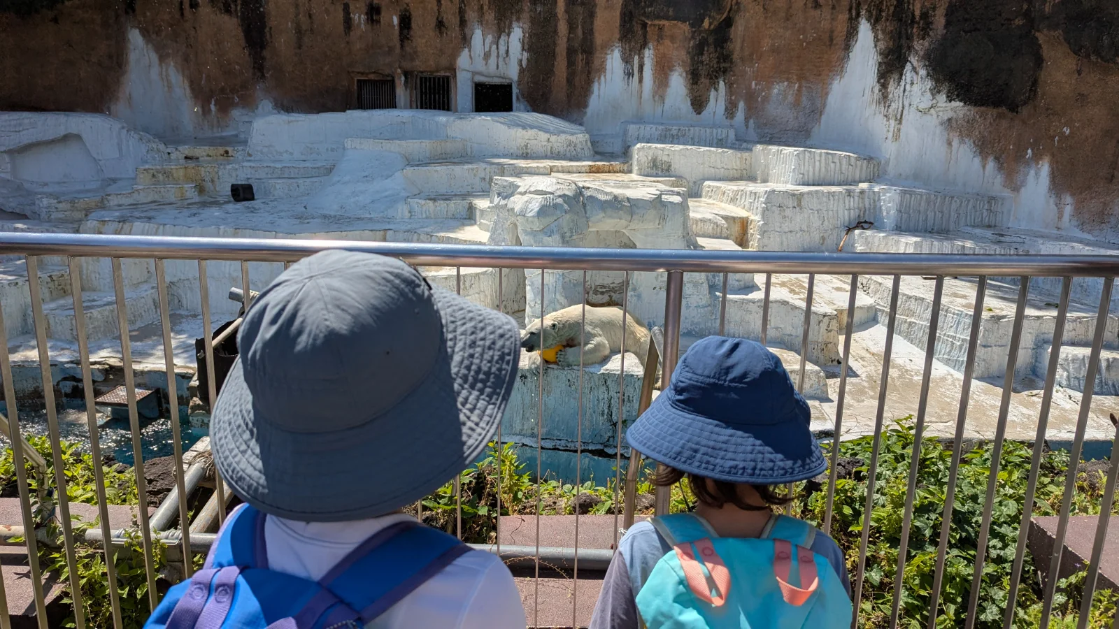 Luca and Nico watching the polar bear enclosure at Tennoji Zoo in Osaka, Japan.