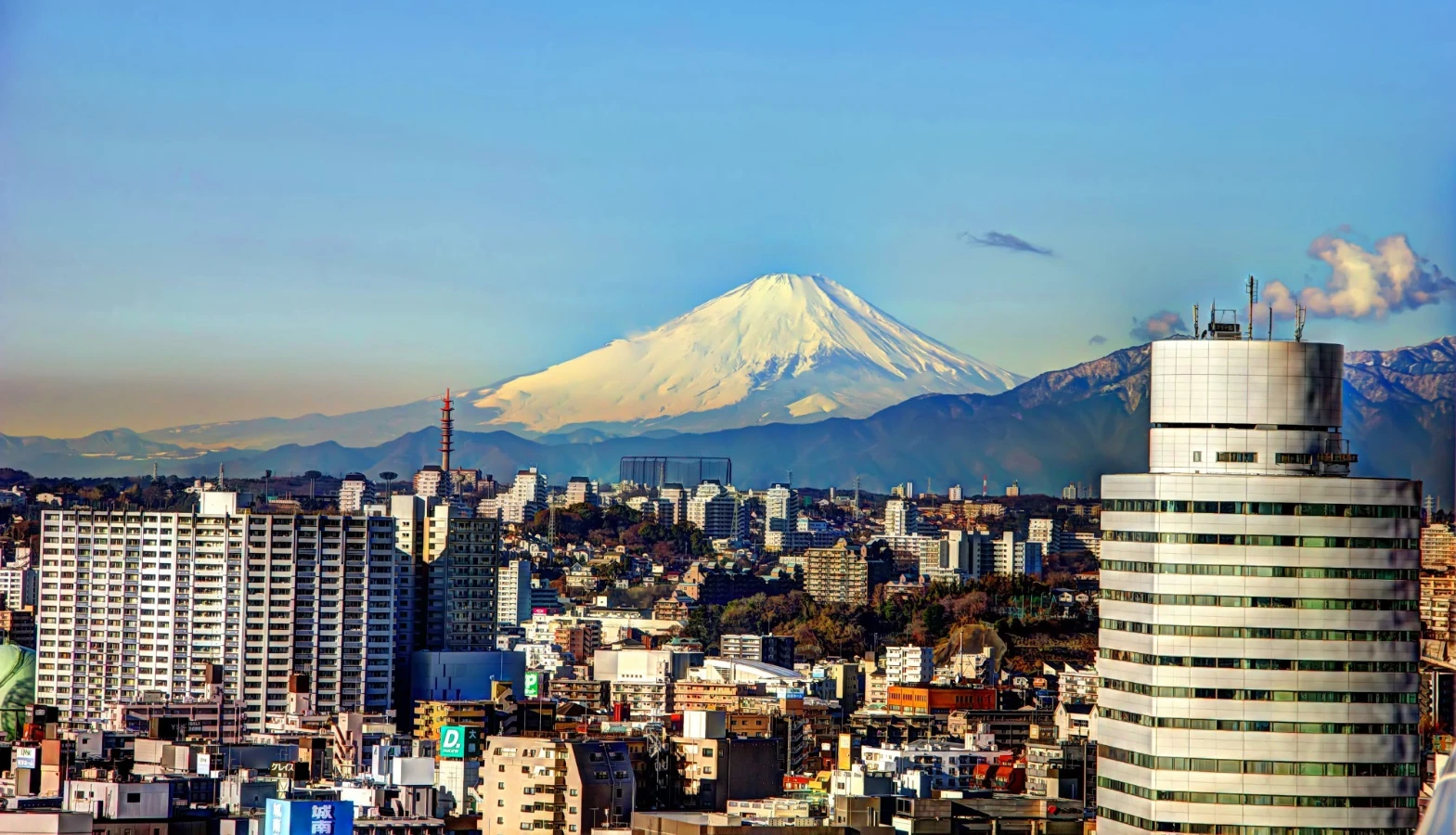 Kyoto, Osaka, or Tokyo with Kids: How to Choose the Best City for Your Family Trip to Japan