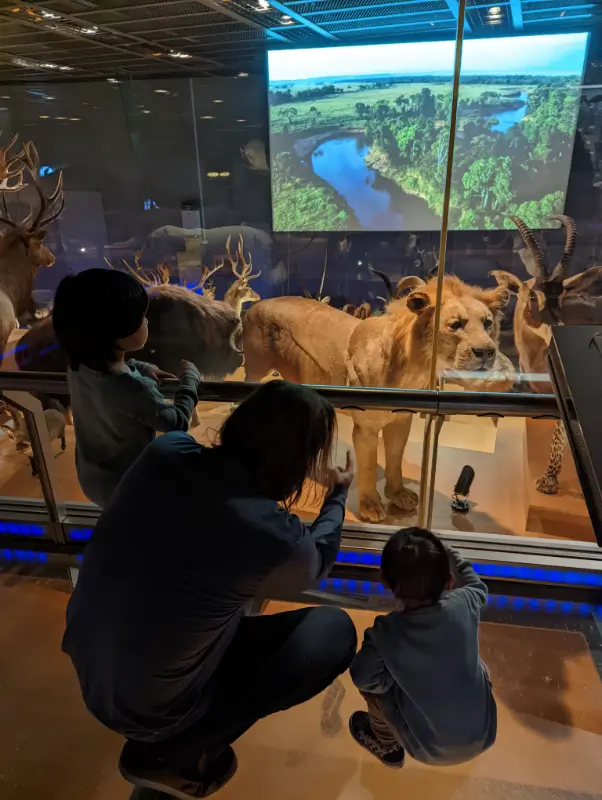 Luca & Nico explore the wildlife exhibit at Tokyo’s National Museum of Nature and Science in Ueno Park, one of the top educational attractions in Tokyo with kids.