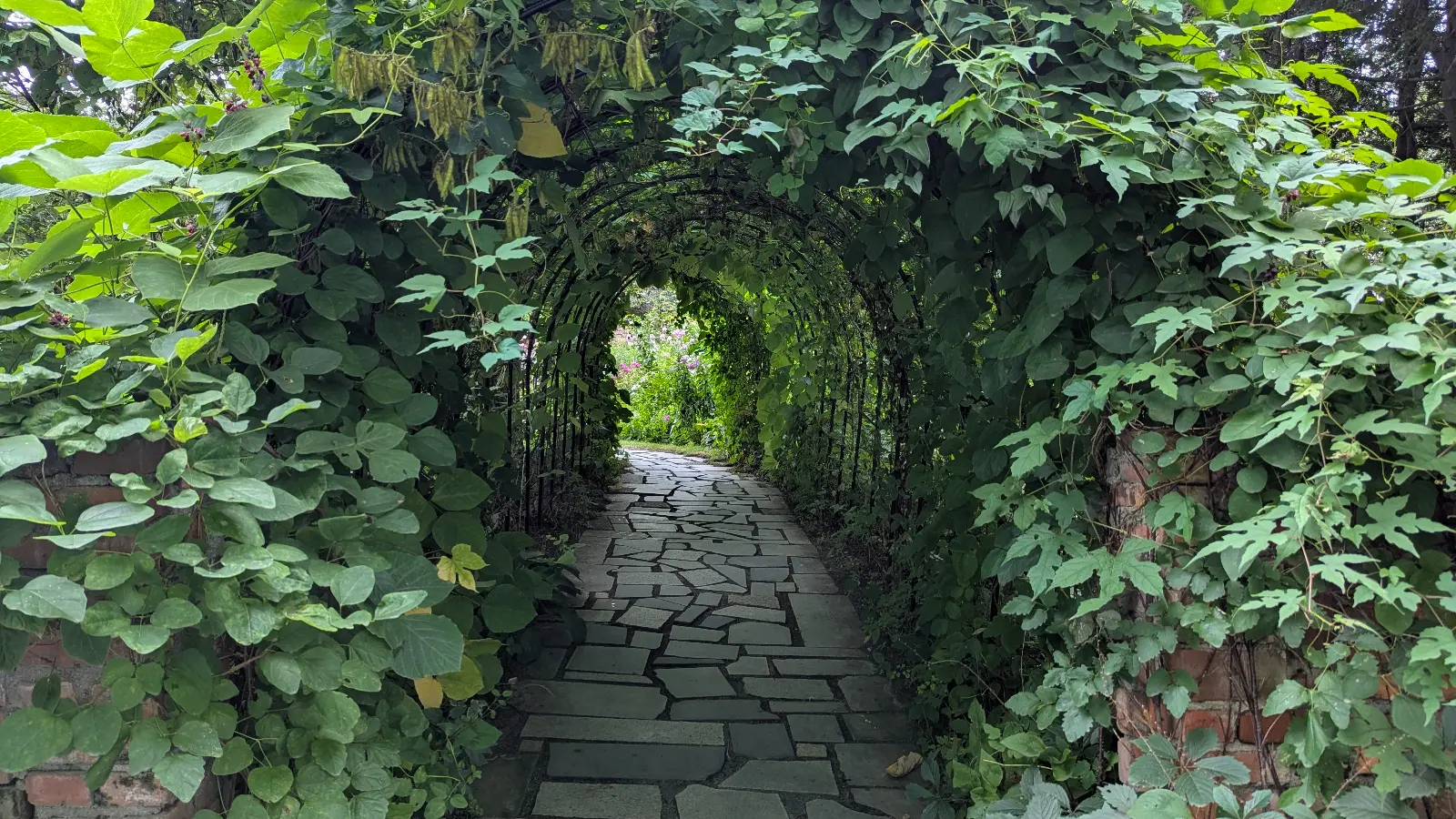 A stone path covered by lush vines and greenery forming a natural archway at Ueno Farm Gnomes Garden in Hokkaido.
