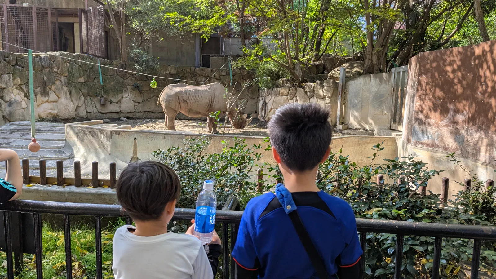 Two children watching a rhinoceros inside its enclosure at Ueno Zoo in Tokyo, surrounded by trees and natural barriers.