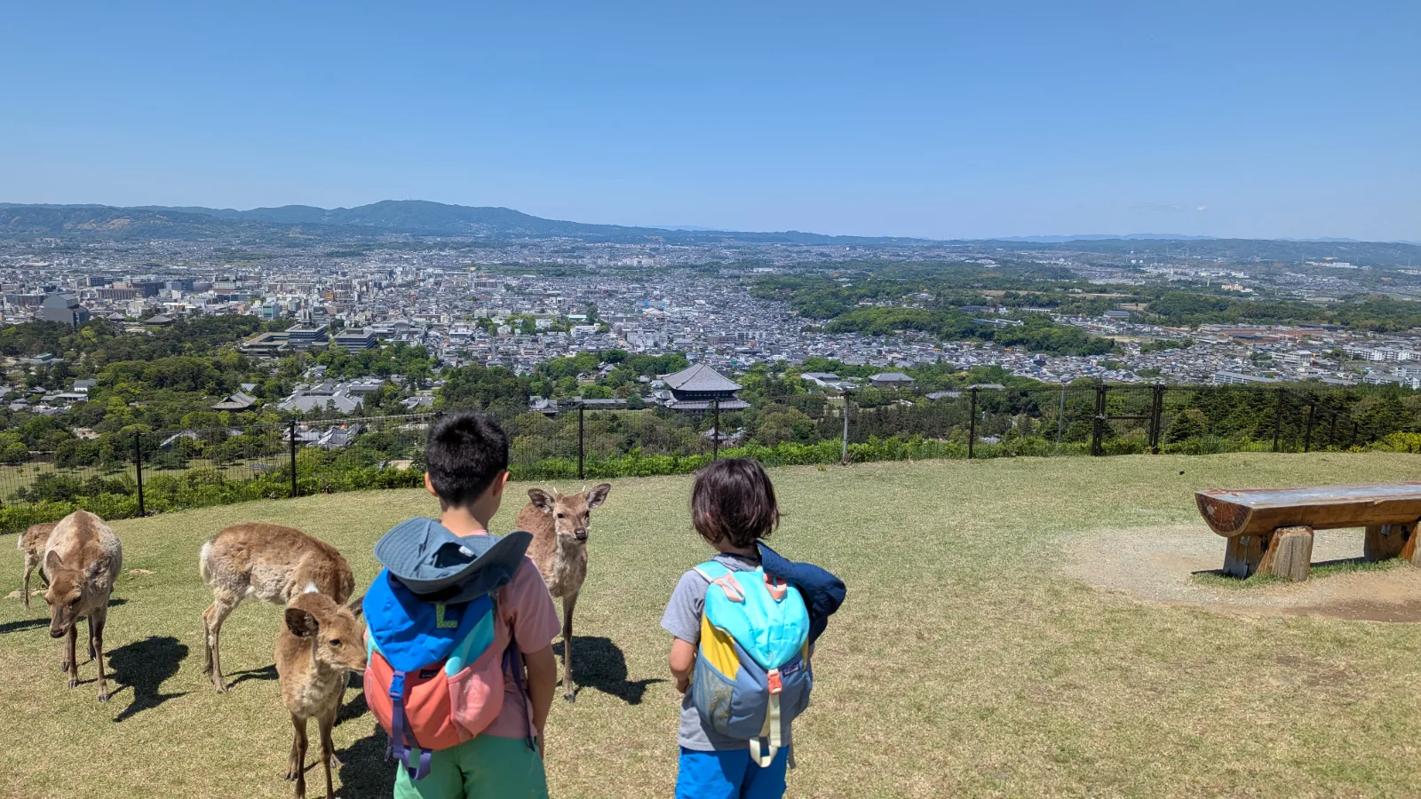 Luca and Nico with deer and the panoramic view of Nara city from the summit of Mount Wakakusa in Nara.