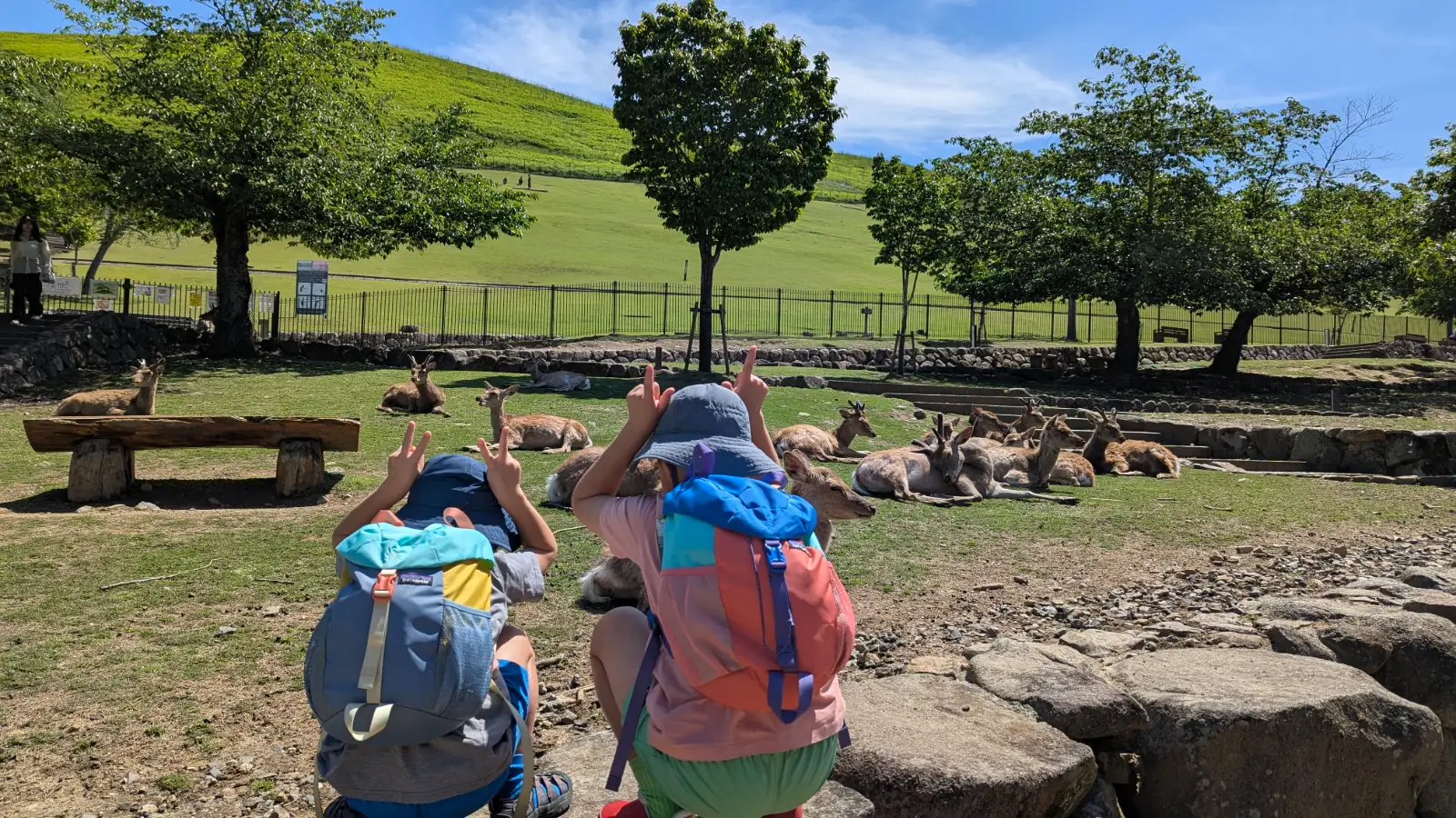 Luca and Nico watching the resting deer below Wakakusayama hill in Nara, Japan.