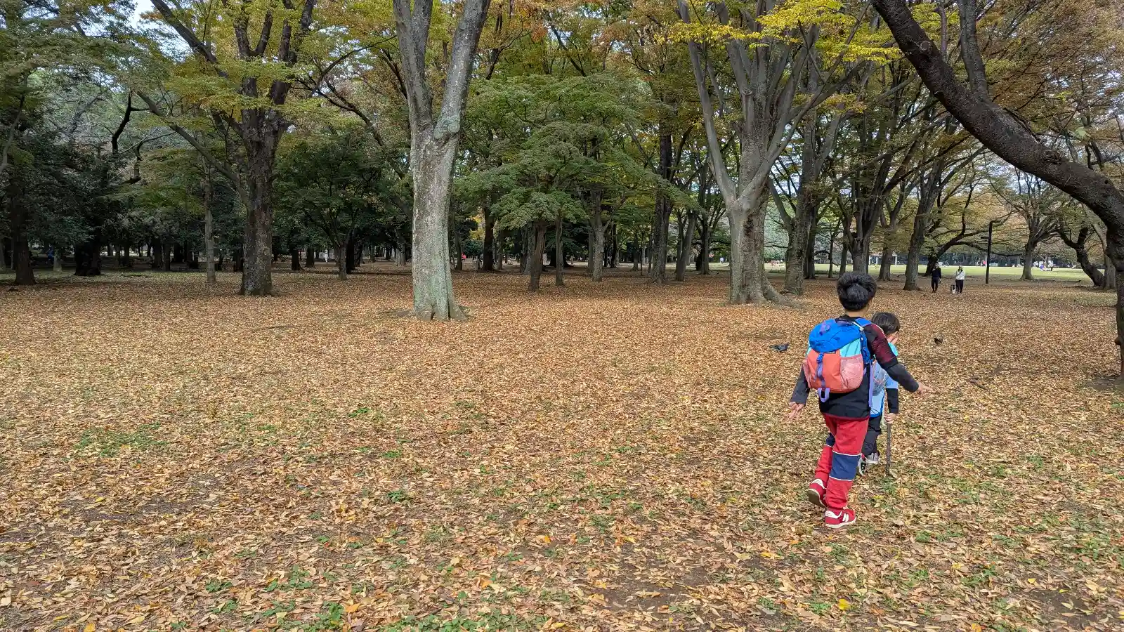 Two children exploring a forested area in Yoyogi Park in Tokyo, walking through a carpet of autumn leaves under tall trees.