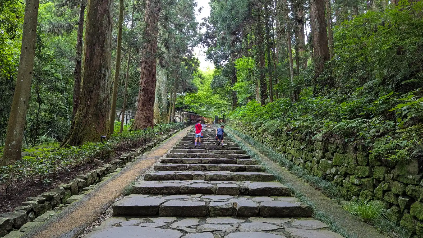 Two children walk up the stone steps through towering cedar trees on the peaceful forest path leading to Zuihoden in Sendai, Japan.